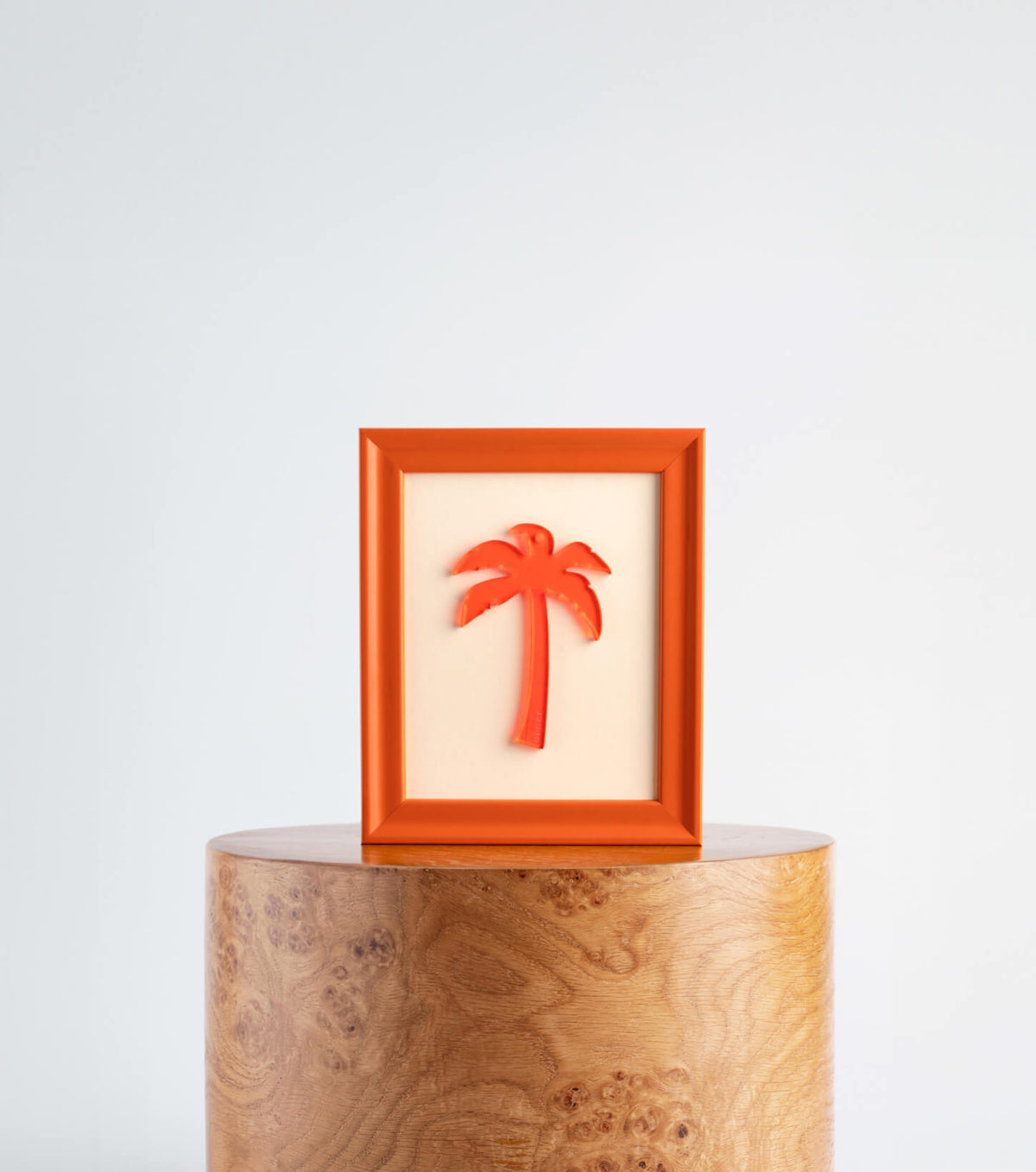 The Gucci Palm