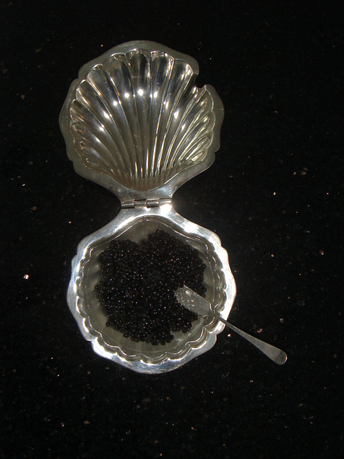 The Shell Butter Dish