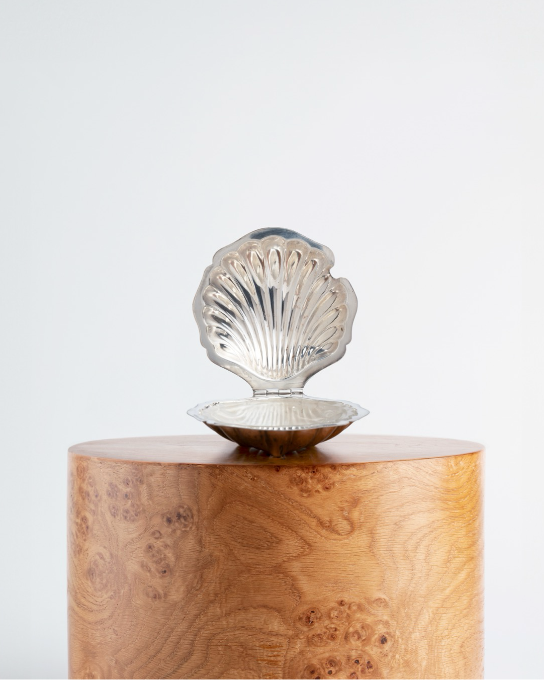 The Shell Butter Dish